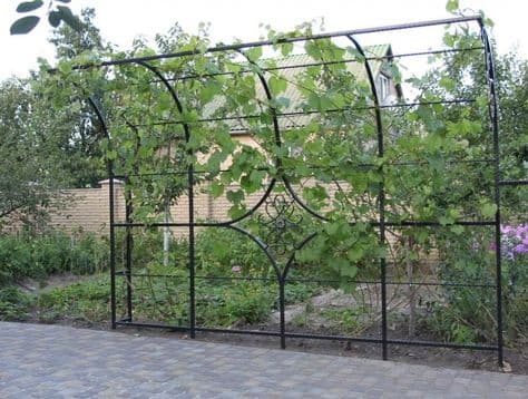 Metal fabrication Garden Structure project by Welldone Metalworks Ahmedabad
